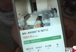 重庆赵女士最新爆料,揭秘事件背后惊人真相