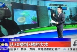 沈阳爆料最新消息新闻网,聚焦热点事件，揭秘幕后真相